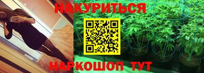 СК Новокубанск